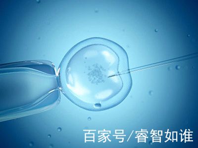 PGT实验室